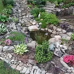 Zloty Buk Alloggio in famiglia