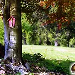 Alloggio in famiglia Zloty Buk *