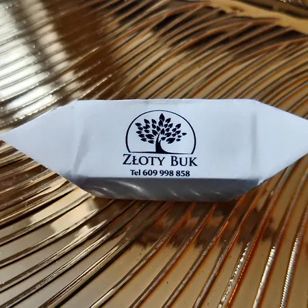 Zloty Buk Accommodatie bij particulieren Jagniątków