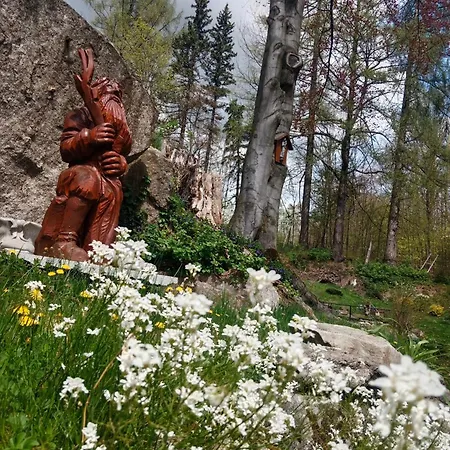 Zloty Buk Homestay szállás *