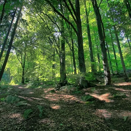 Zloty Buk * Jagniątków