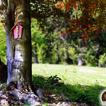 Homestay szállás Zloty Buk *