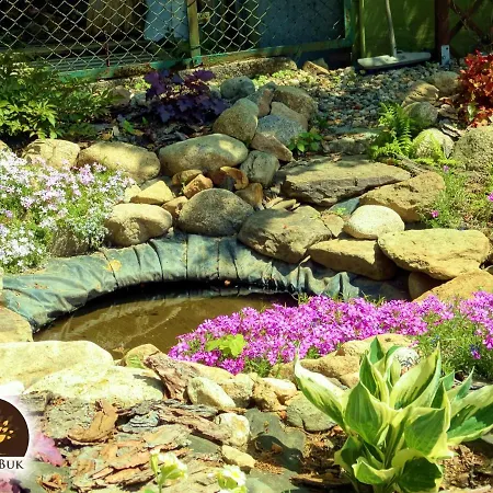 Zloty Buk Homestay szállás Jagniątków