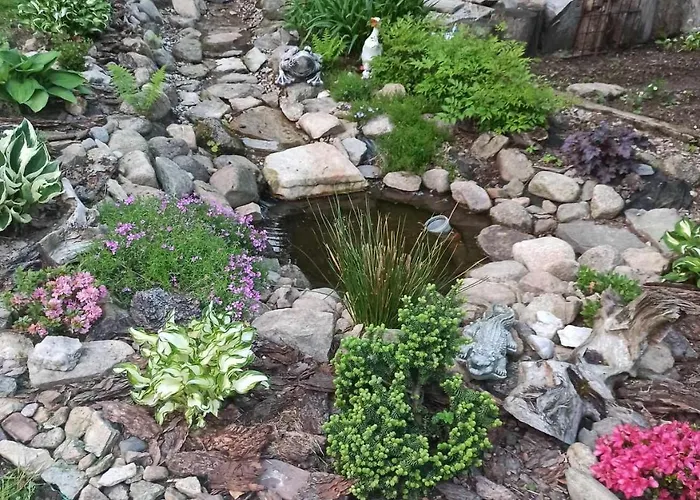 Zloty Buk Проживание в семье