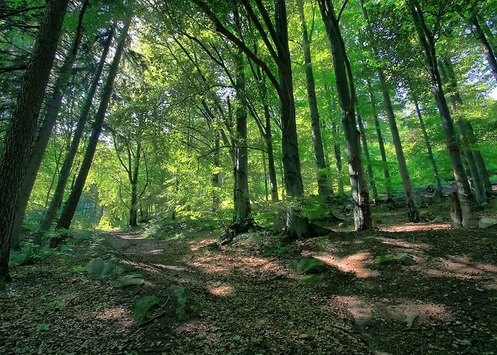 Zloty Buk * Jagniątków
