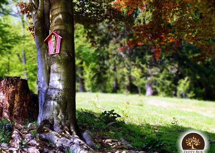 Проживание в семье Zloty Buk *