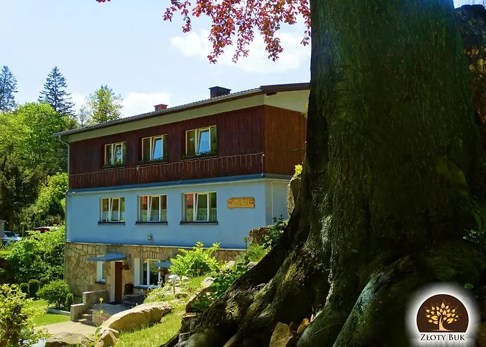 Проживание в семье Zloty Buk