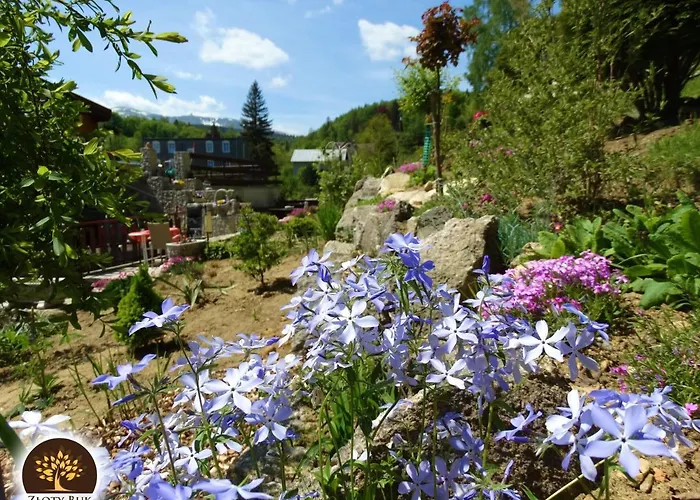 Zloty Buk 홈스테이 Jagniątków